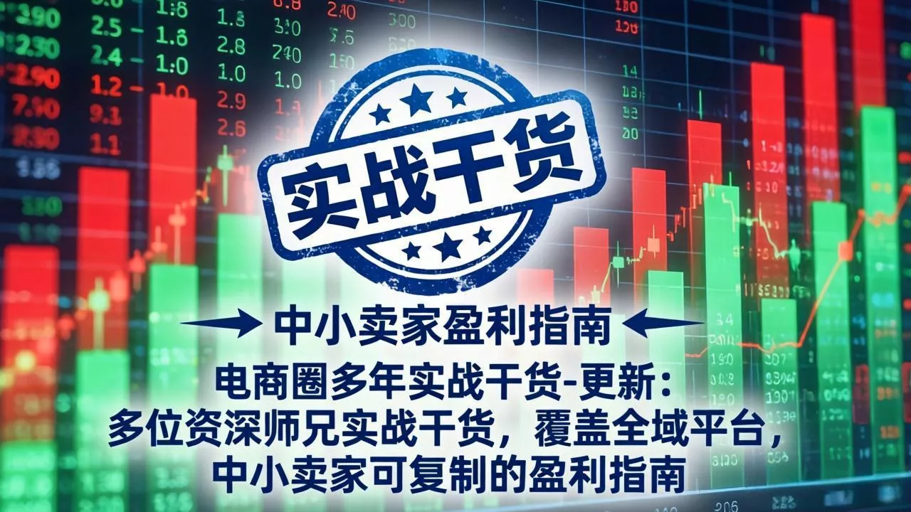 电商圈多年实战干货-更新2026：多位资深师兄实战干货/覆盖全域平台，中小卖家可复制的盈利指南-资源之家