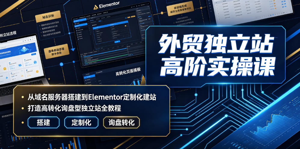 外贸独立站高阶实操课|从域名服务器搭建到Elementor定制化建站,打造高转化询盘型独立站全教程-资源之家