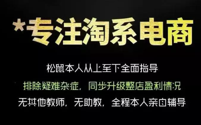 松鼠会电商VIP课程，从基础布局到高阶优化，助你掌握淘宝运营逻辑，提升店铺流量与转化(更新0809)-资源之家