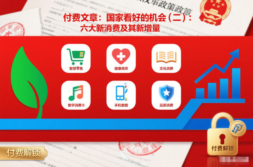 付费文章：国家看好的机会(二)：六大新消费及其新增量-资源之家