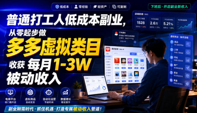 普通打工人低成本副业，从零起步做多多虚拟类目，收获每月1-3W被动收入【揭秘】-资源之家