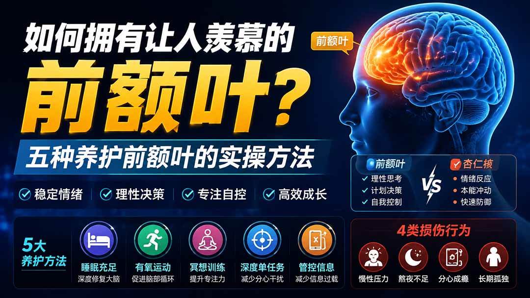 （19805期）付费文章：如何拥有让人羡慕的前额叶？五种养护前额叶的实操方法-资源之家