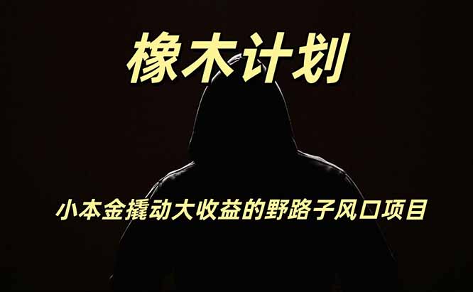 橡木计划，小投入撬动高回报的风口野路子项目，一天投入2小时左右-资源之家