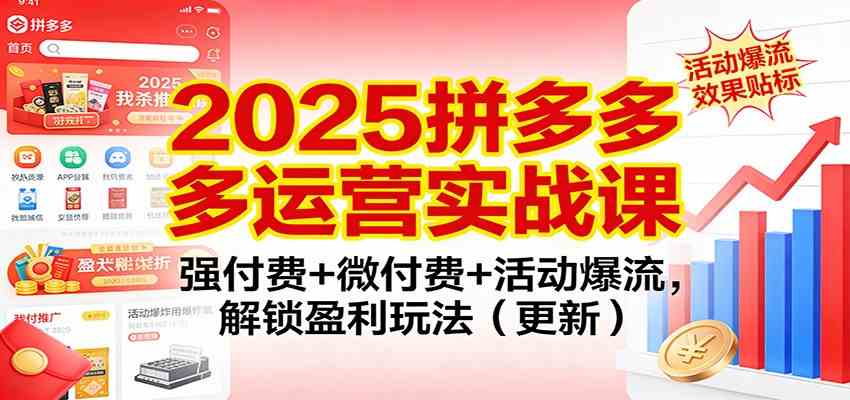 2025拼多多运营实战课：强付费+微付费+活动爆流，解锁盈利玩法（更新）-资源之家