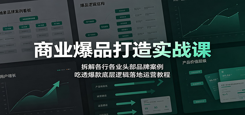 商业爆品打造实战课：拆解各行各业头部品牌案例，吃透爆款底层逻辑落地运营教程-资源之家